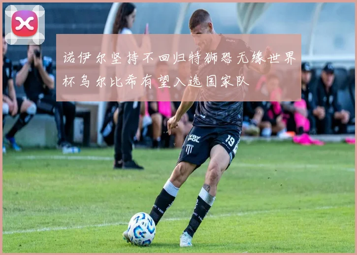 诺伊尔坚持不回归特狮恐无缘世界杯乌尔比希有望入选国家队