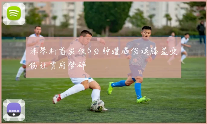 津琴科首发仅6分钟遭遇伤退膝盖受伤让贾府梦碎