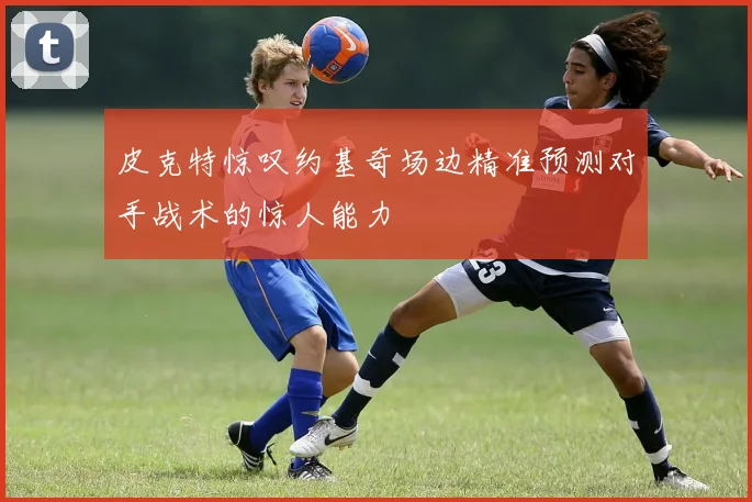 皮克特惊叹约基奇场边精准预测对手战术的惊人能力