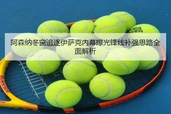 阿森纳冬窗追逐伊萨克内幕曝光锋线补强思路全面解析 - jiangnan